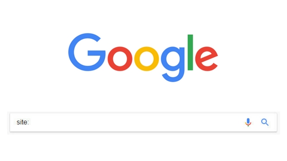 Is Your Website Indexed on Google? – How You Can See for Yourself!